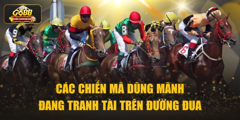Các chiến mã dũng mãnh đang tranh tài trên đường đua